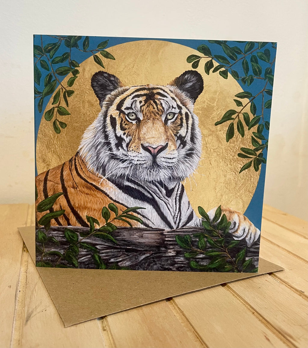 Forest Greeting Card Pack