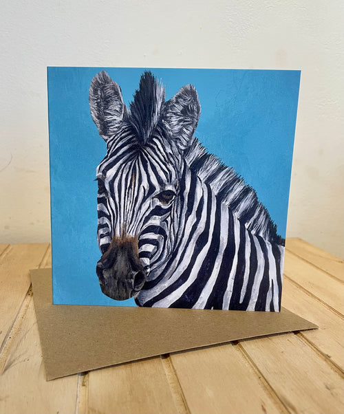 Africa Greeting Card Pack