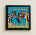Zebras