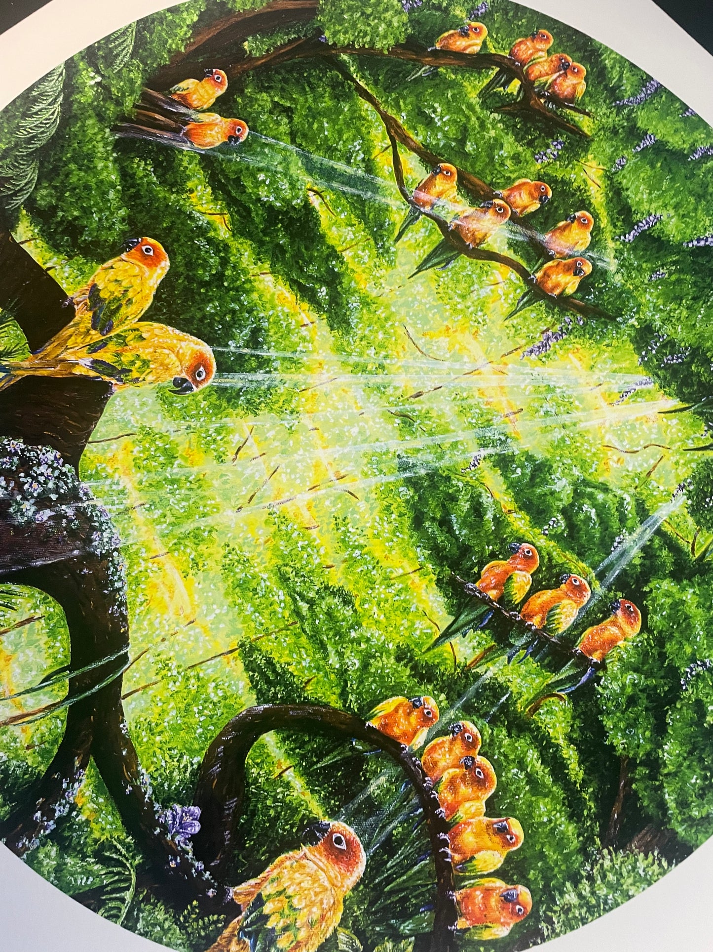 Serenity Limited Edition Prints