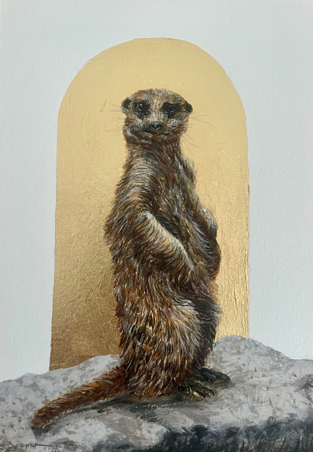Meerkat