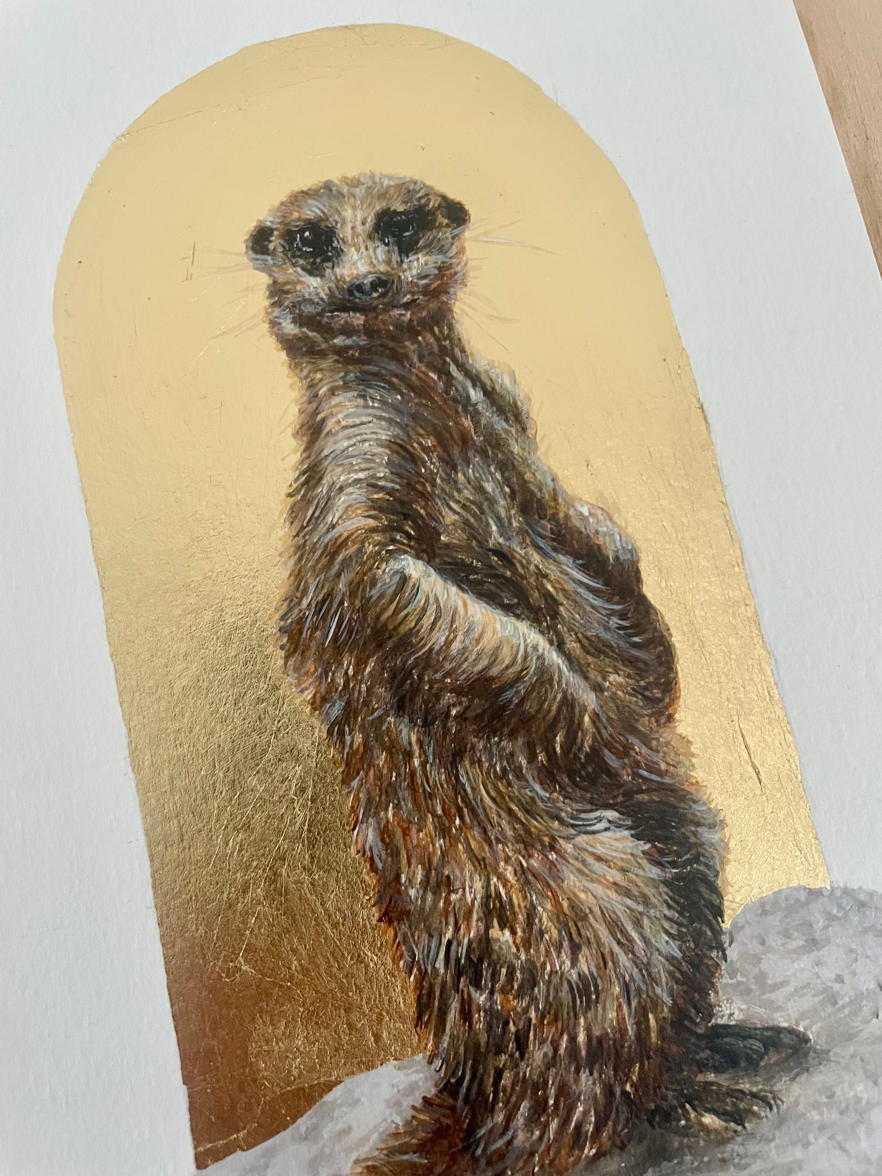Meerkat