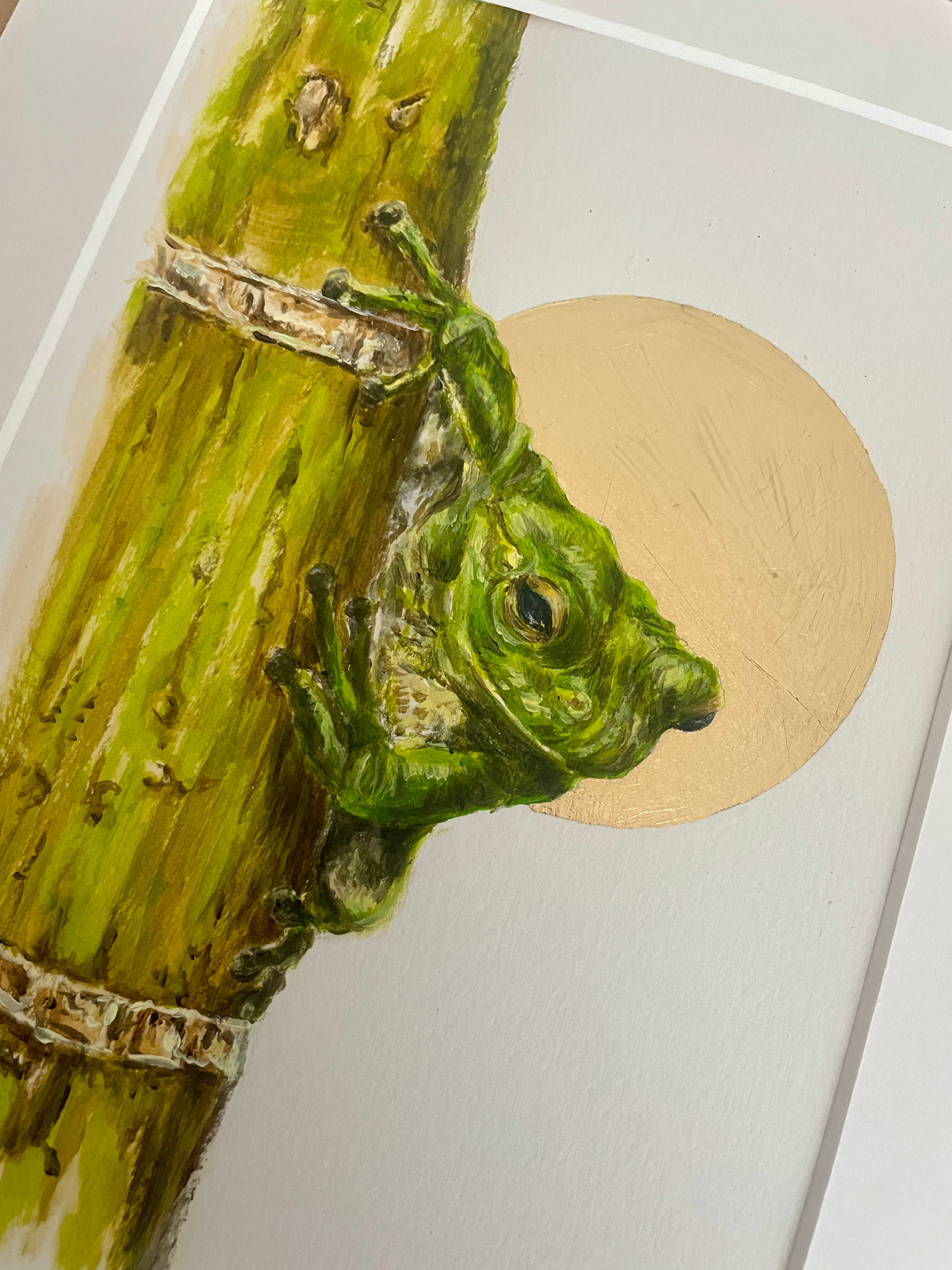 Leaf Frog