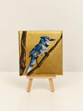 Blue Jay