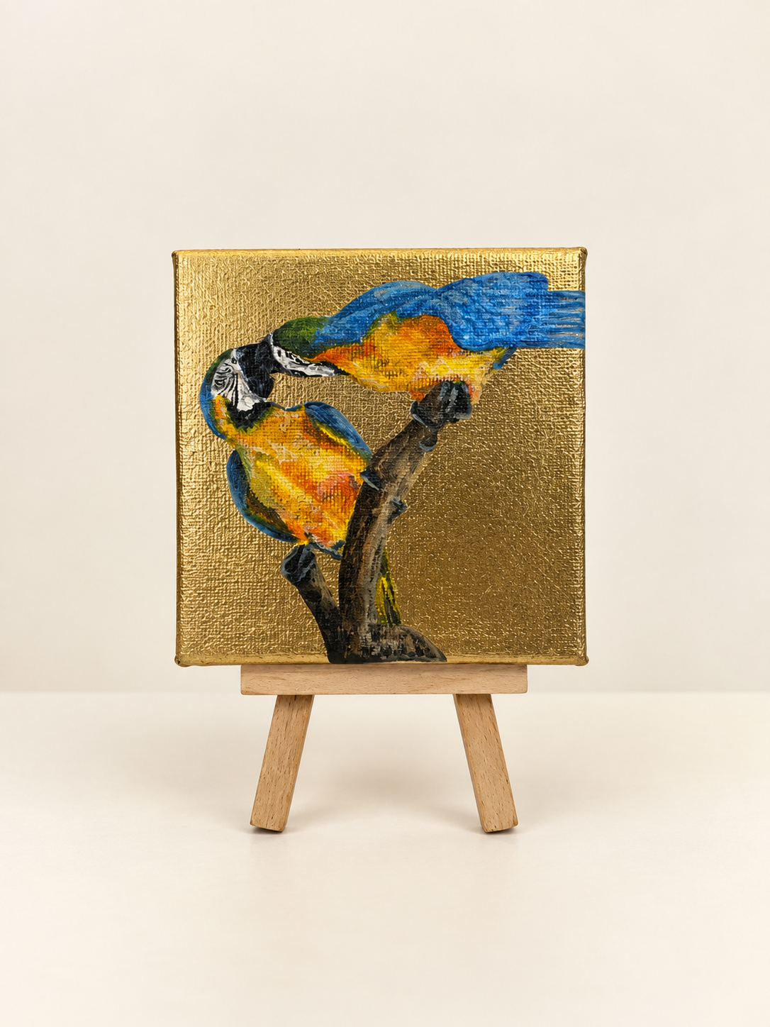 Blue Yellow Macaws