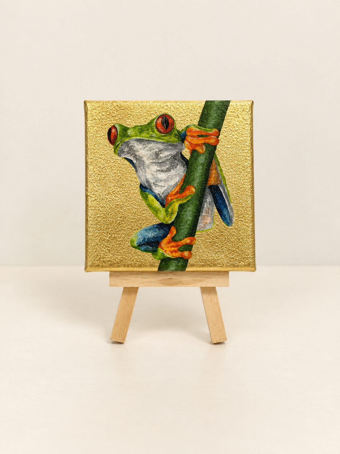 Red-Eyed Green Leaf Frog