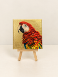 Scarlet Macaw